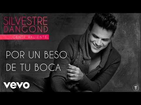 Silvestre Dangond - Por un Beso de Tu Boca (Audio)