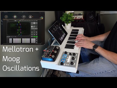 Mellotron and Moog Oscillations - Animoog, Model 15, Model D, Plus Gauss Looper