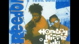 A HOMEBOY, A HIPPIE AND A FUNKI DREDD - FREEDOM (RADIO EDIT) (1990)