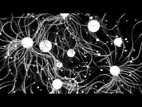 Max Ruby - Mendeleev (video)