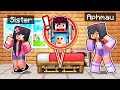 Teaching Your LITTLE SISTER In Minecraft!