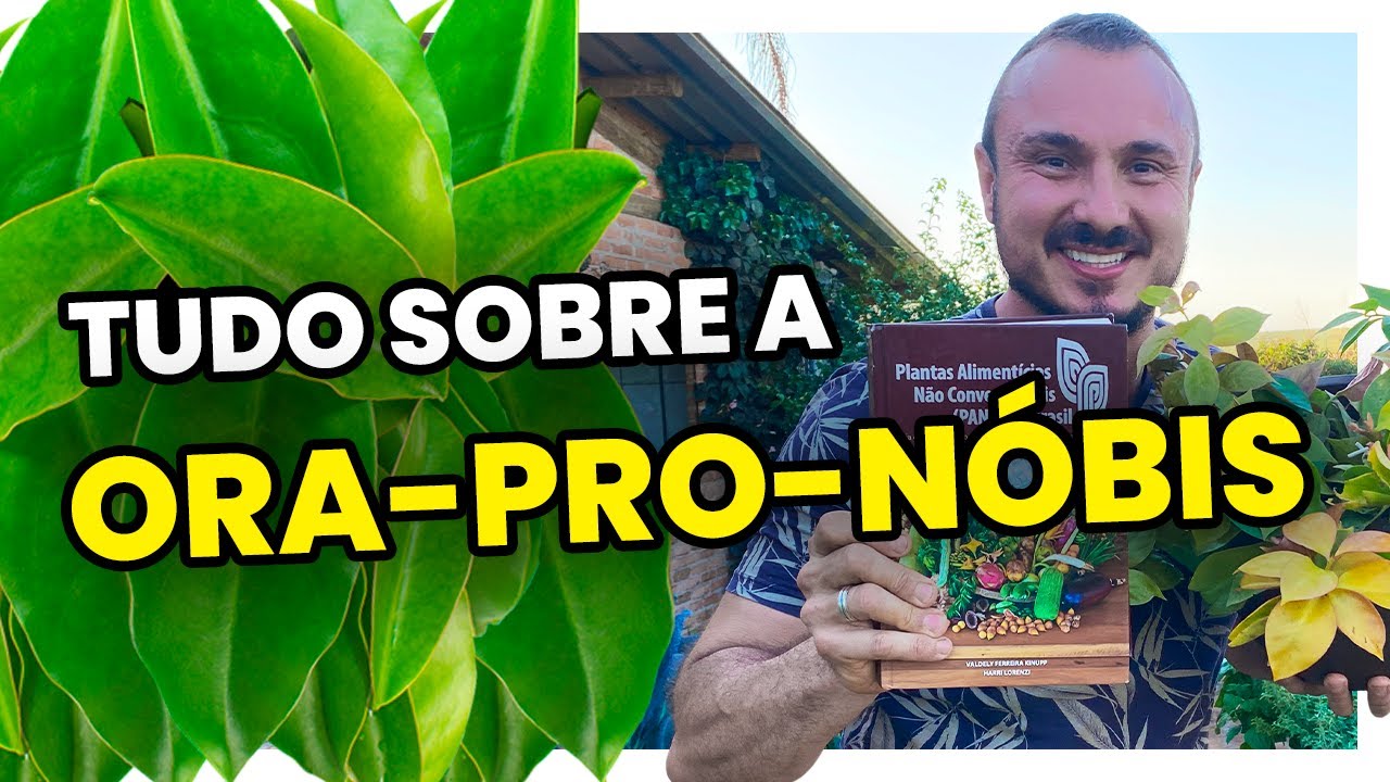 Tudo sobre a ORA-PRO-NÓBIS | Aprenda cultivar