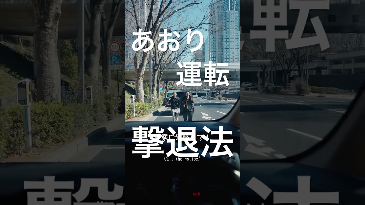 あおり運転を撃退する方法#shorts