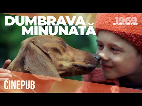 DUMBRAVA MINUNATĂ (1980) de Gheorghe Naghi - film online pe CINEPUB