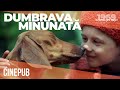 DUMBRAVA MINUNATĂ 1980 De Gheorghe Naghi Film Online Pe CINEPUB