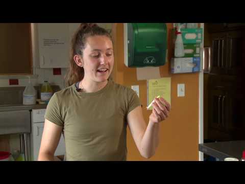 Mexican Style Black Bean Veggie Burgers