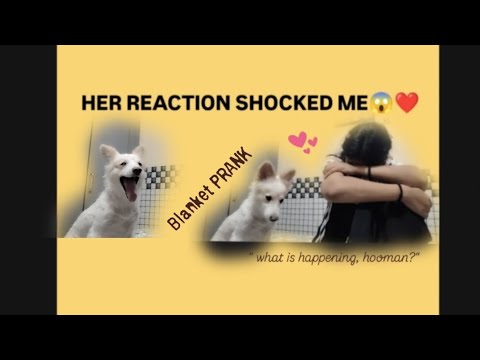 I Pranked My Dog 😂♥️ You Won't Believe Her Reaction! 😱💫
