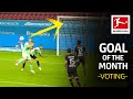 Top 10 Goals November - Vote For The Goal Of The Month