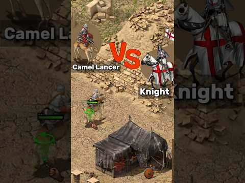 Knight vs Camel... I Was NOT Ready for This 😳