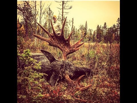 SMÅLANDSJÄGARNA - Älgjakt i Jämtland