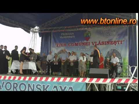 Festival Vlasinesti