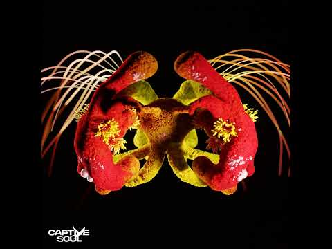 Don`t Call Me (Extended Mix) David Lindmer