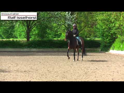 www.dressurtrainer-isselhorst.de - Dressurtraining Klasse M / S