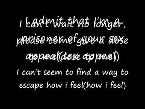 Brady Afrodisiac Lyrics