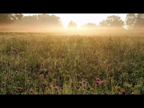 Cuarteto Zupay -  zamba del nuevo dia