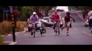 Number One - Les Mosquitos