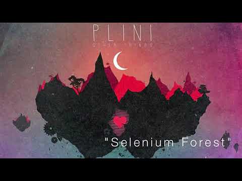 Plini - Selenium Forest Backing Track
