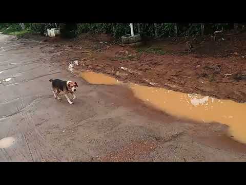 As estrada da Bahia acabada BR-250 De Piraí do norte Bahia ituberá, Bahia.