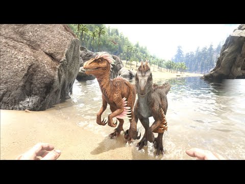 RAPTOR SIZE COMPARISON / Ark Survival Evolved