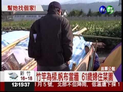 弟欠債家被拍賣 61歲婦住菜園