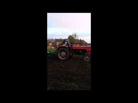 Czerwona Strzała Lisa