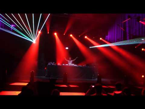 Euforia Back to the Roots 4 4 Strings HD