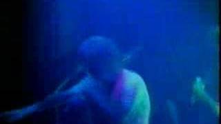 Nick Cave and The bad seeds From Her To Eternity live
