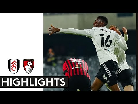 Fulham 1-1 Bournemouth | EFL Championship Highlights | Tosin Rescues Deserved Point!