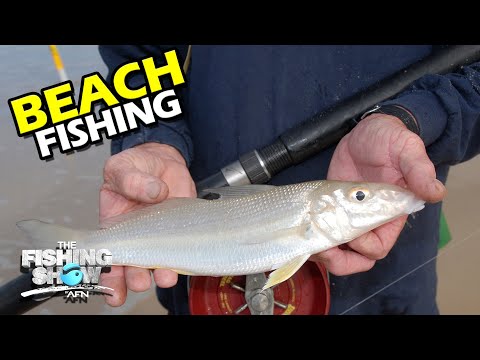SURF FISHING TIPS! Beach Fishing