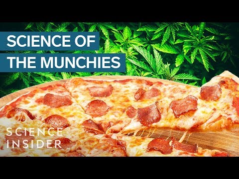 Why Marijuana Gives You The Munchies