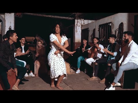 León Bravo - Tú No Sientes (Videoclip Oficial)