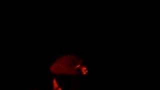 the holloways-diamonds pearls