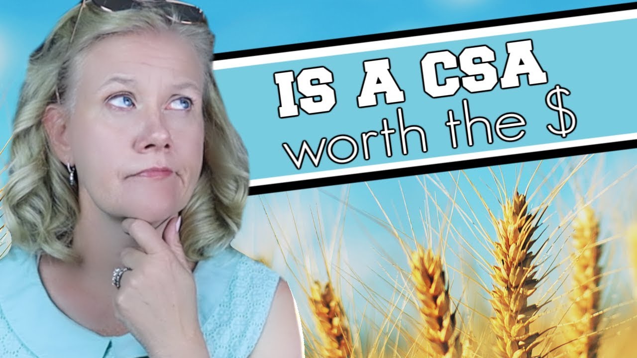 Will A CSA Farm Share Save Me Money? || What is a CSA share? || Community Supported Agriculture