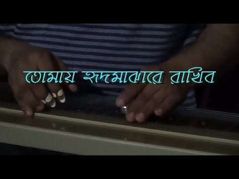 Tomay Hrid Majhare Rakhbo Instrumental