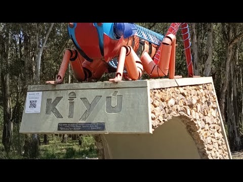 Salida de paseo por departamento de San José,balneario KIJU sobre el Río de la plata. 