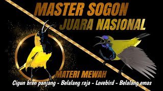 Download lagu Materinya ngeri‼️MASTERAN SOGON ISIAN SUPER MEWAH mp3 Download lagu Materinya ngeri‼️MASTERAN SOGON ISIAN SUPER MEWAH mp3