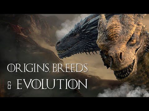 The Real Origins and Different Sub Species of Targaryen Dragons
