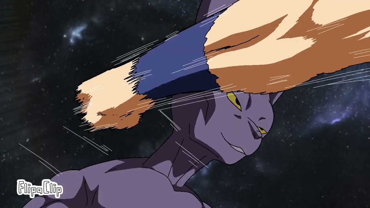 SON GOKU VS BEERUS DRAGON BALL KAKUMEI FLIPACLIP ANIMATION