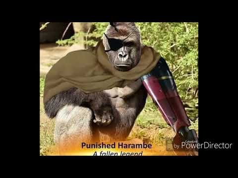 R.I.P Harambe