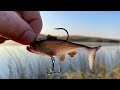 Video Thumbnail for NEW Soft Plastic Flutter Tail VS Aggressive Northern Pike Shallow Fishing