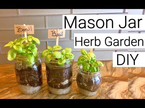 download lagu mp3 mp4 Growing Herbs In Jars, download lagu Growing Herbs In Jars gratis, unduh video klip Growing Herbs In Jars