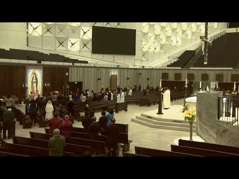 21/11/2023 |Thứ Ba Tuần XXXIII Mùa Thường Niên |