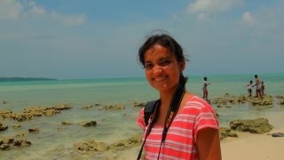 Radhanagar Beach, Havelock Island