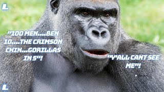 100 Men V 1 Gorilla......Not a Chance Bill!