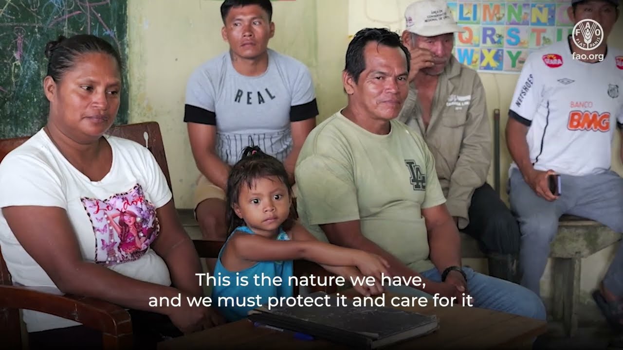 Peatland monitoring in Peru: Open technology and Indigenous Peoples for climate action