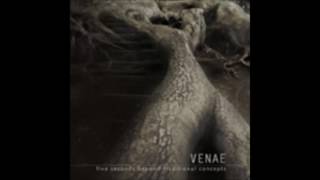 Venae -  Lower