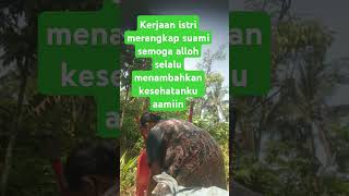 Download lagu SELAIN MASAK SEORANG ISTRI JUGA BISA KERJA SEPERTI INI#@mustikchannel1737 mp3 Download lagu SELAIN MASAK SEORANG ISTRI JUGA BISA KERJA SEPERTI INI#@mustikchannel1737 mp3