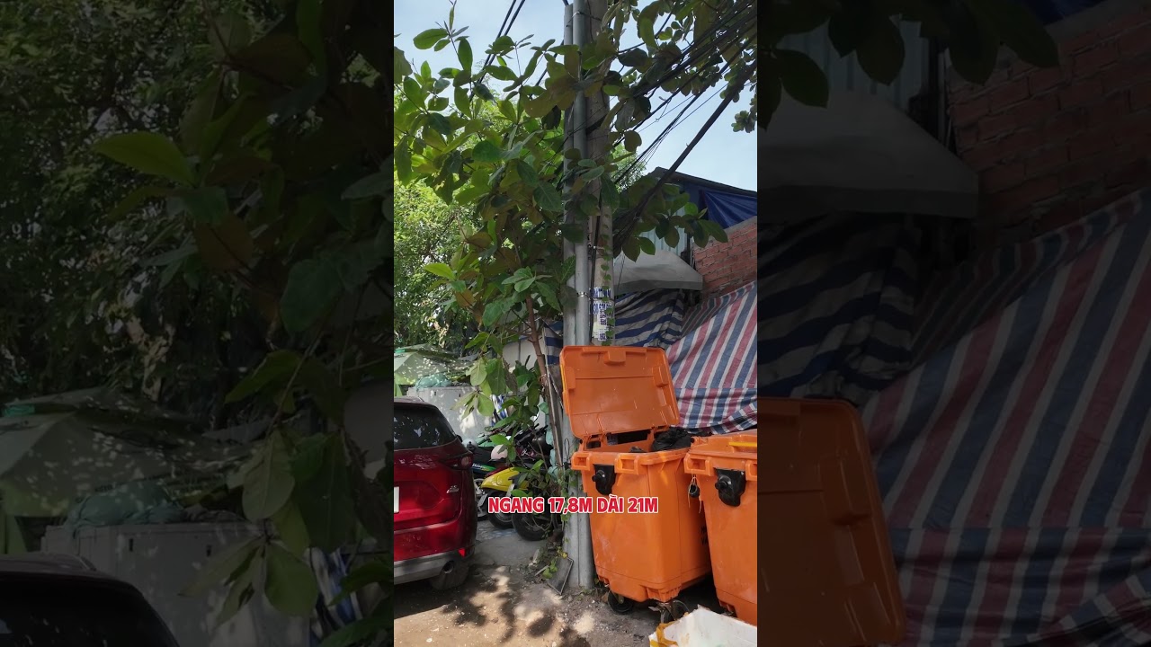 Ảnh đại diện Video