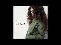 Lorde - Team (Almost Studio Acapella)