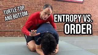 Know Turtle Position Entropy vs Order